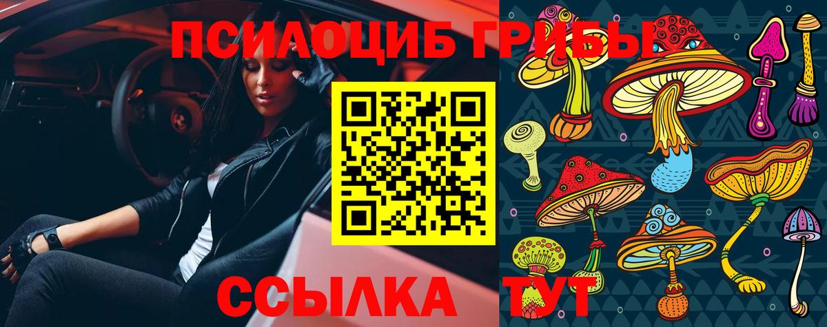 как найти закладки  Галлюциногенные грибы Psilocybe  Вход с VPN  Нальчик 